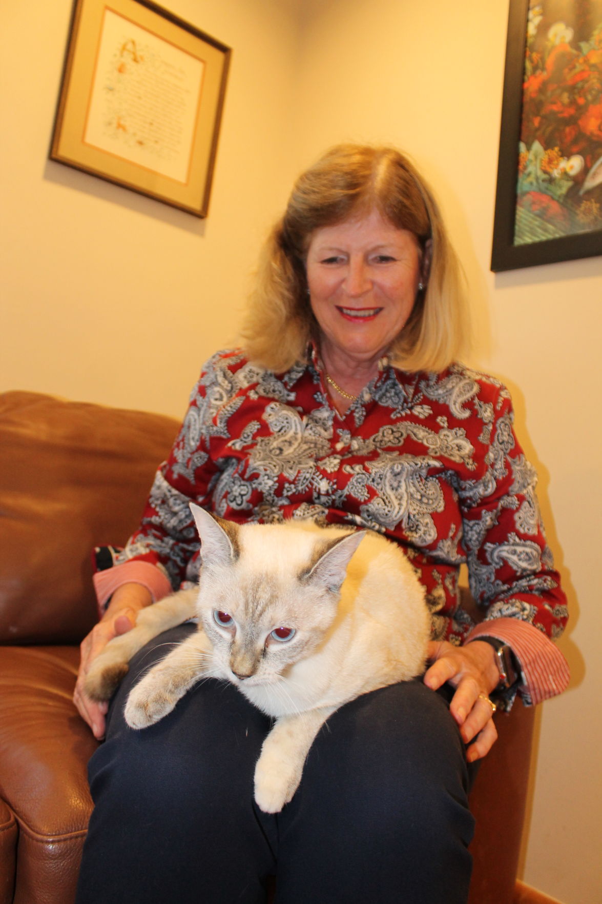 KB Community Cats Rescue Program holding annual fundraiser